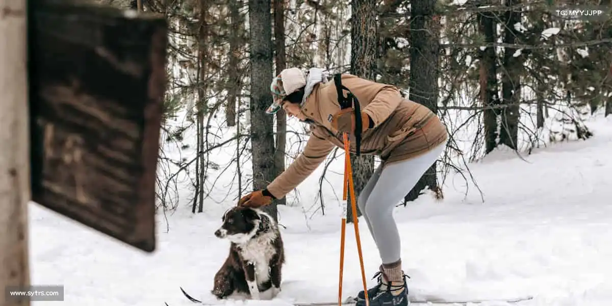 澳门威尼斯人网站——突破极限边界，定义你的精彩！⚽